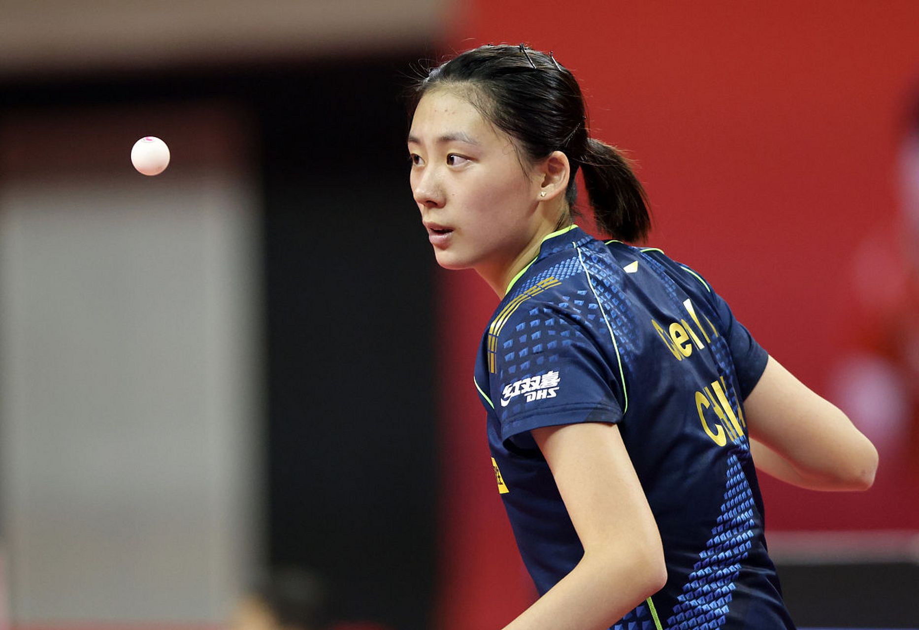 也将在新赛 也将在新赛